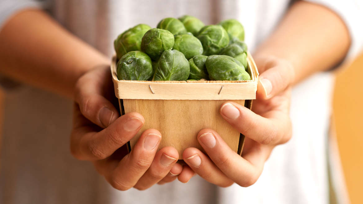Plant-Based Diet and Protein — The Common Mistakes and How to Fix Them
